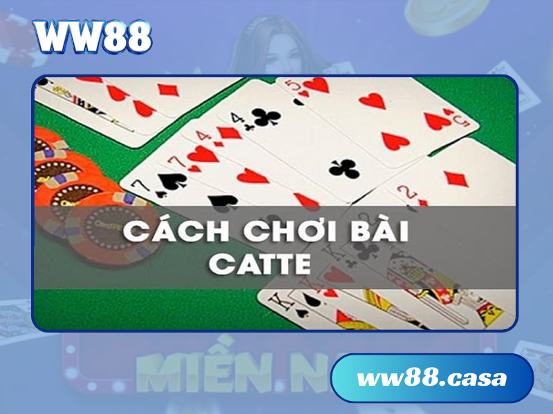 catte WW88