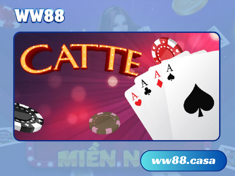 catte WW88