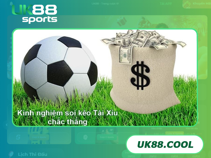 Kèo tài xỉu 2.5/3