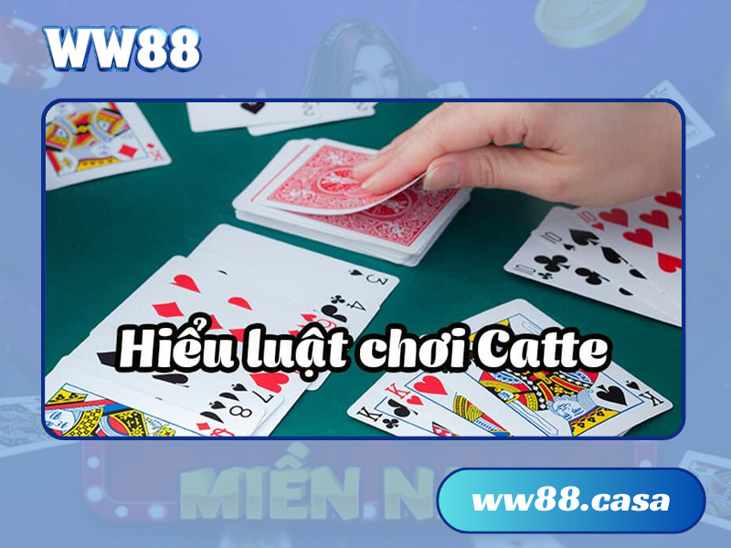 catte WW88